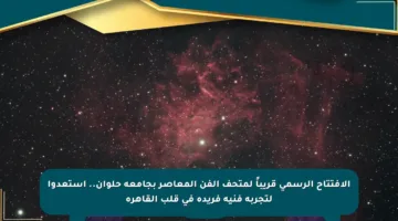 الافتتاح الرسمي قريباً لمتحف الفن المعاصر بجامعة حلوان.. استعدوا لتجربة فنية فريدة في قلب القاهرة
